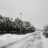 la grande nevicata del febbraio 2012 027